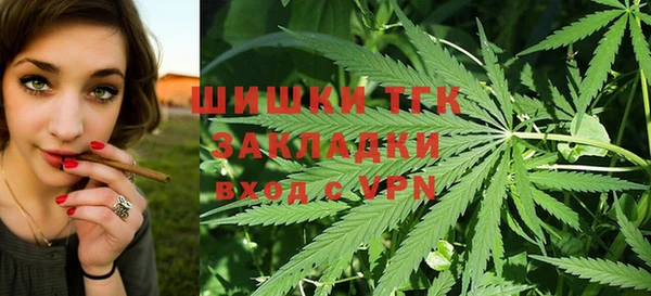 гидра Дмитриев
