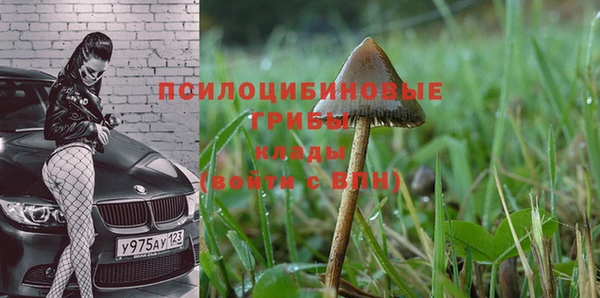 spice Дмитровск
