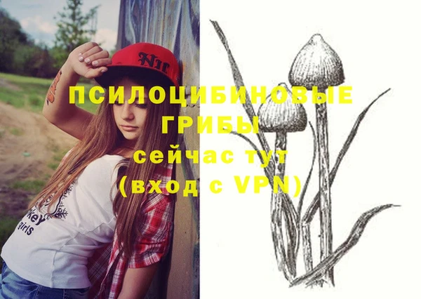 гидра Дмитриев