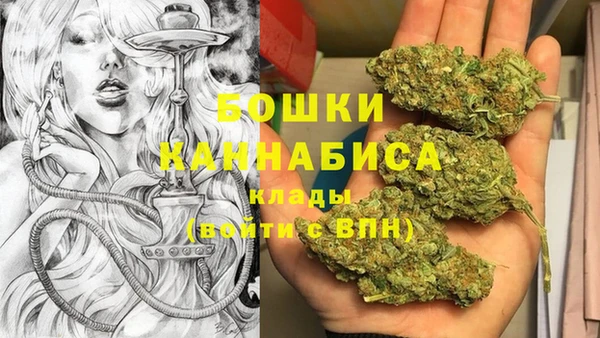 spice Дмитровск