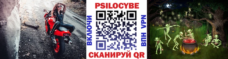Псилоцибиновые грибы Psilocybe  Междуреченск 