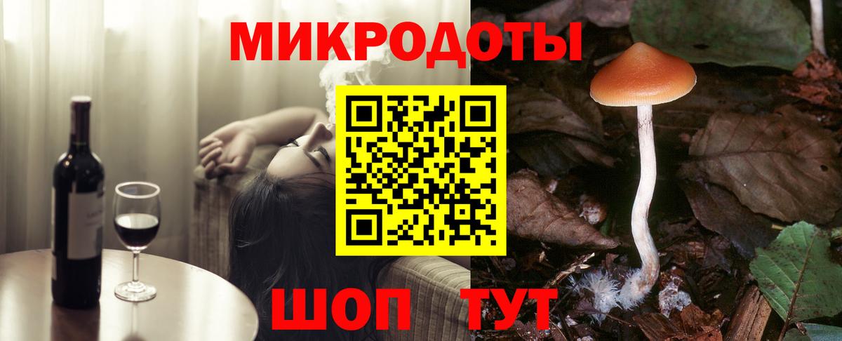 Псилоцибиновые грибы Psilocybe  Междуреченск  Псилоцибиновые грибы мухоморы 