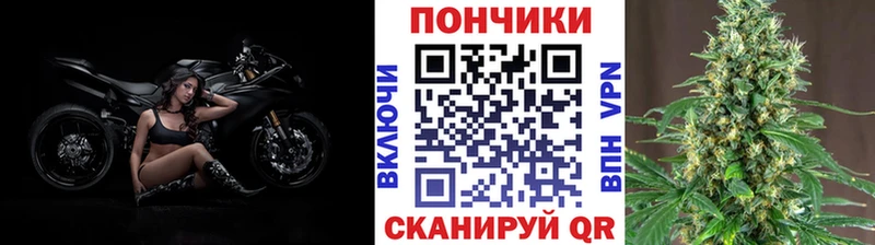 цена   Междуреченск  Каннабис семена 